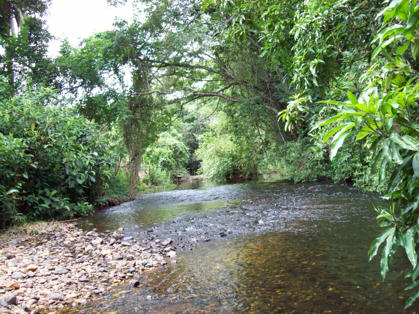 Recanto Casa de Telhas - Imagem 12